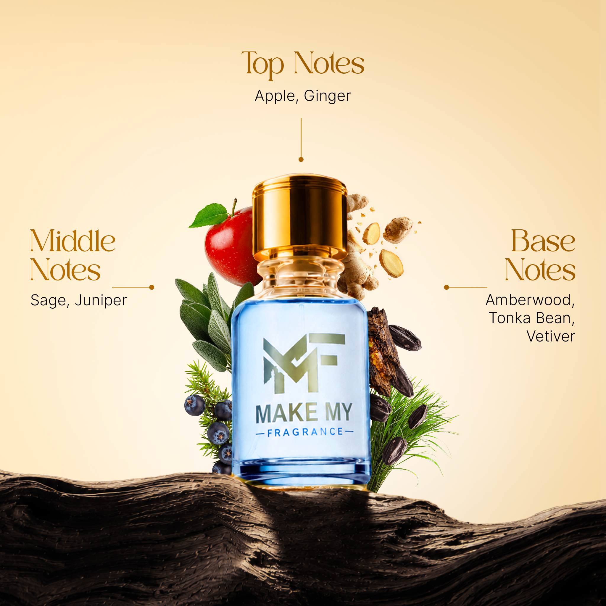 MMF75 YSL Y